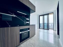 Irwell Hill Residences (D9), Apartment #564571791
